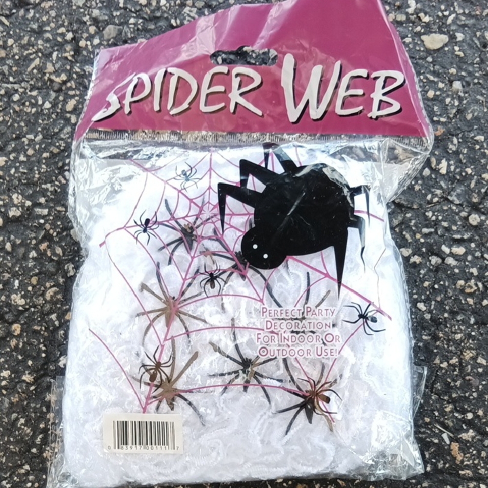 Spider Web Decoration With 8 Fake Spiders